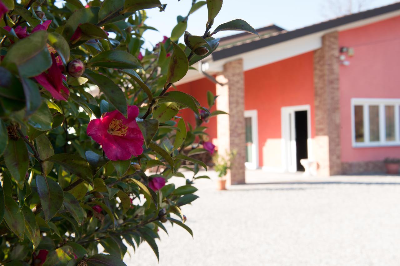 Tenuta La Vigna Malgesso Екстер'єр фото